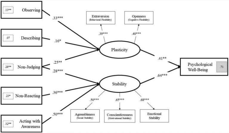 stability-contemplative-studies