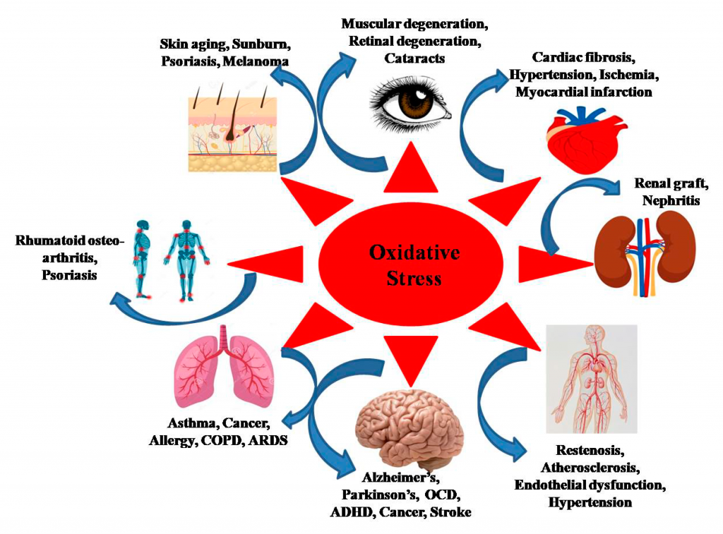 reduce-oxidative-stress-with-tai-chi-contemplative-studies