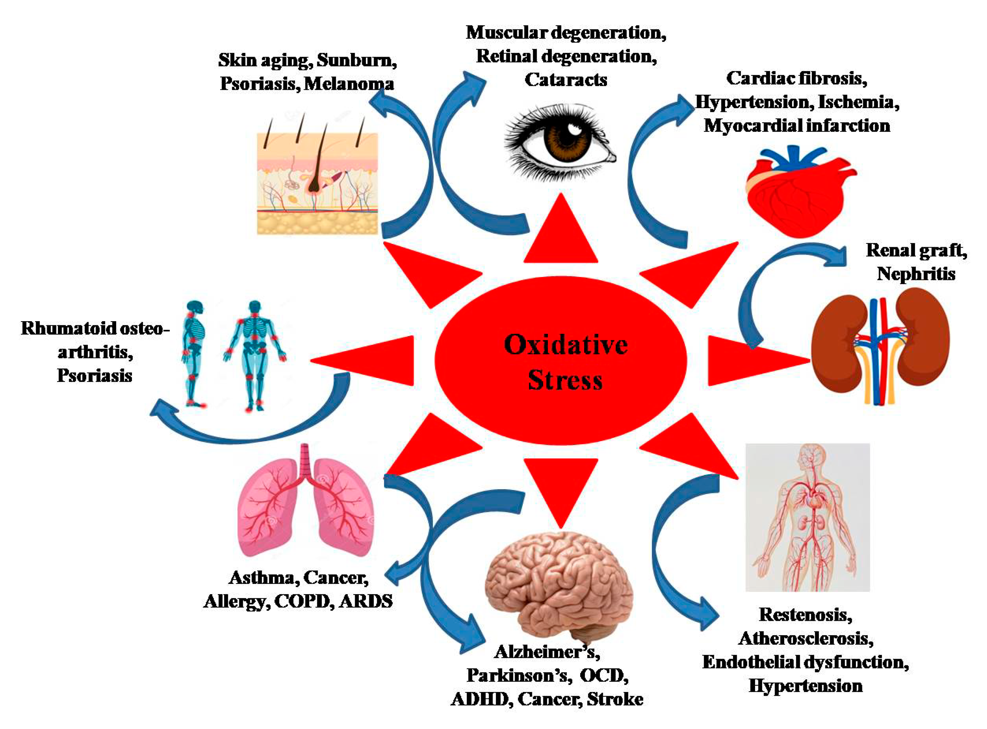 Reduce Oxidative Stress With Tai Chi Contemplative Studies